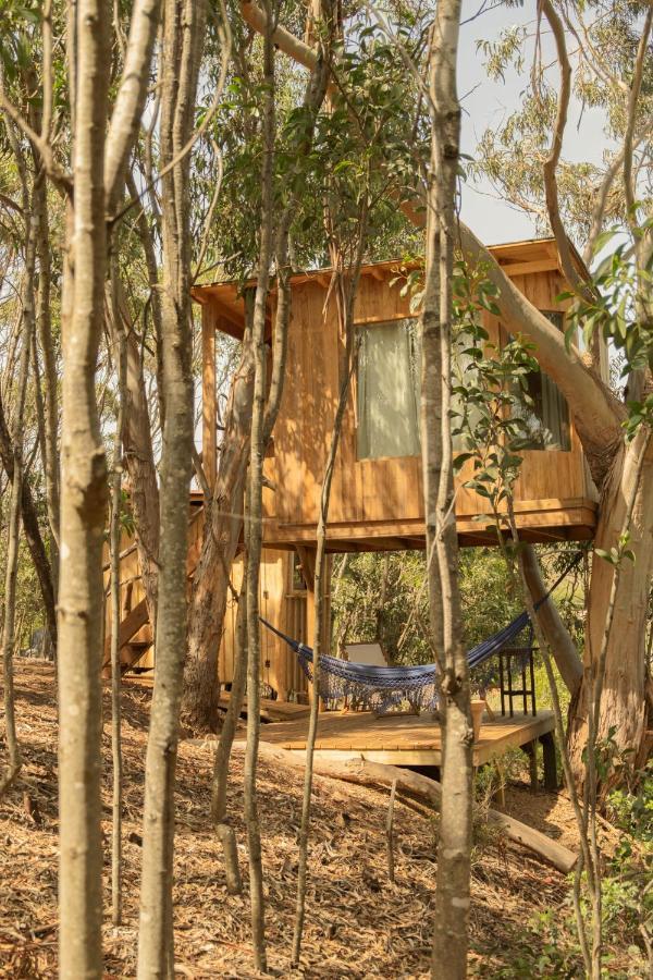 Soul Farm Algarve - Glamping & Farm Houses Aljezur Bagian luar foto