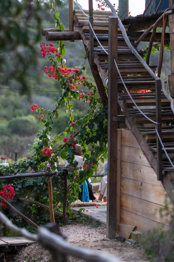Soul Farm Algarve - Glamping & Farm Houses Aljezur Bagian luar foto