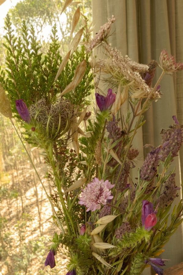Soul Farm Algarve - Glamping & Farm Houses Aljezur Bagian luar foto