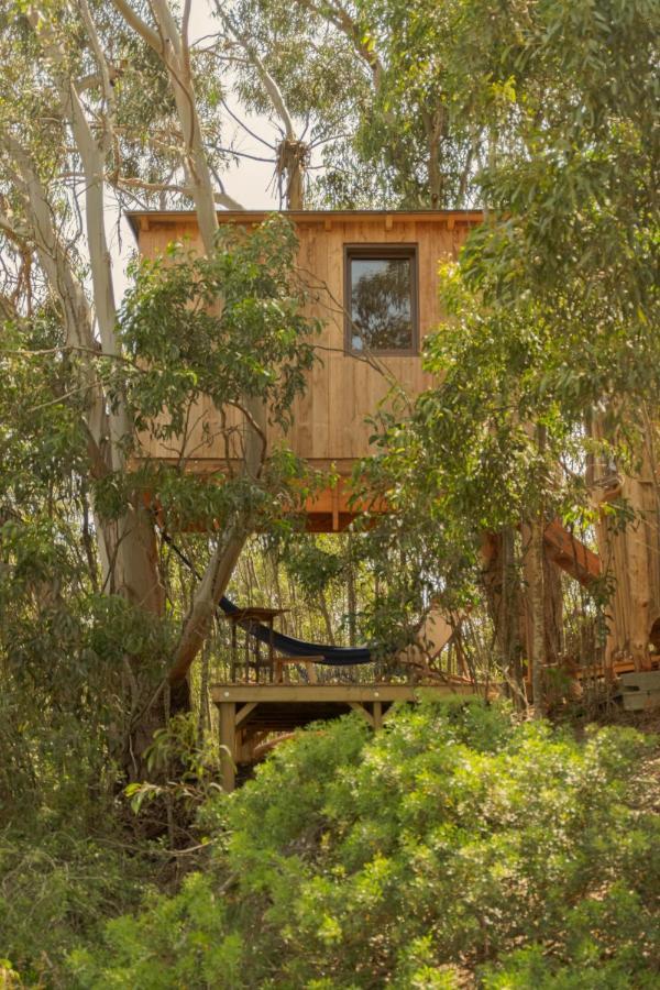 Soul Farm Algarve - Glamping & Farm Houses Aljezur Bagian luar foto