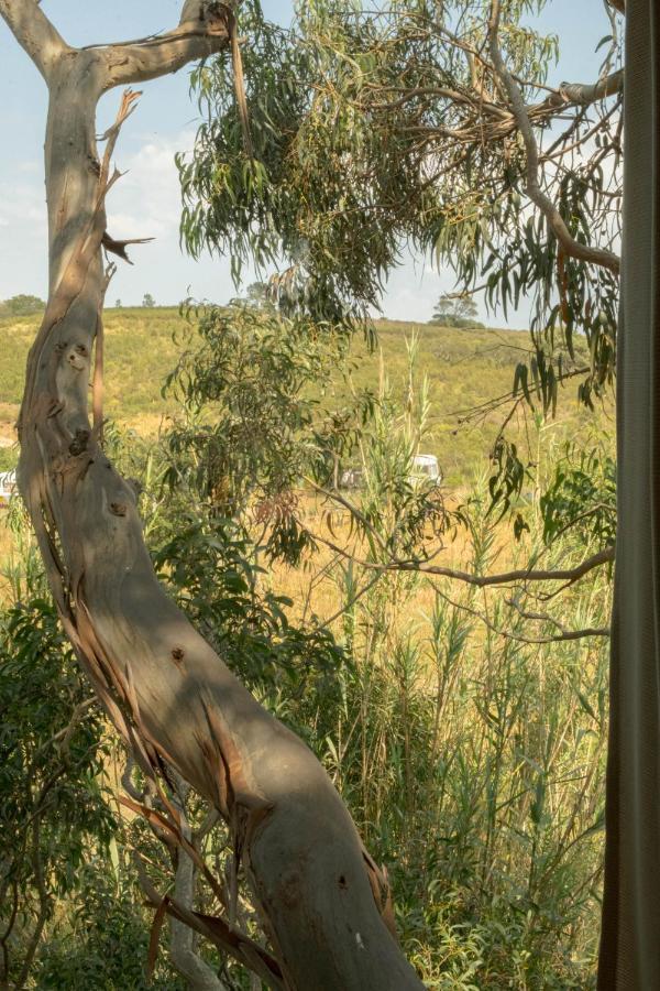 Soul Farm Algarve - Glamping & Farm Houses Aljezur Bagian luar foto