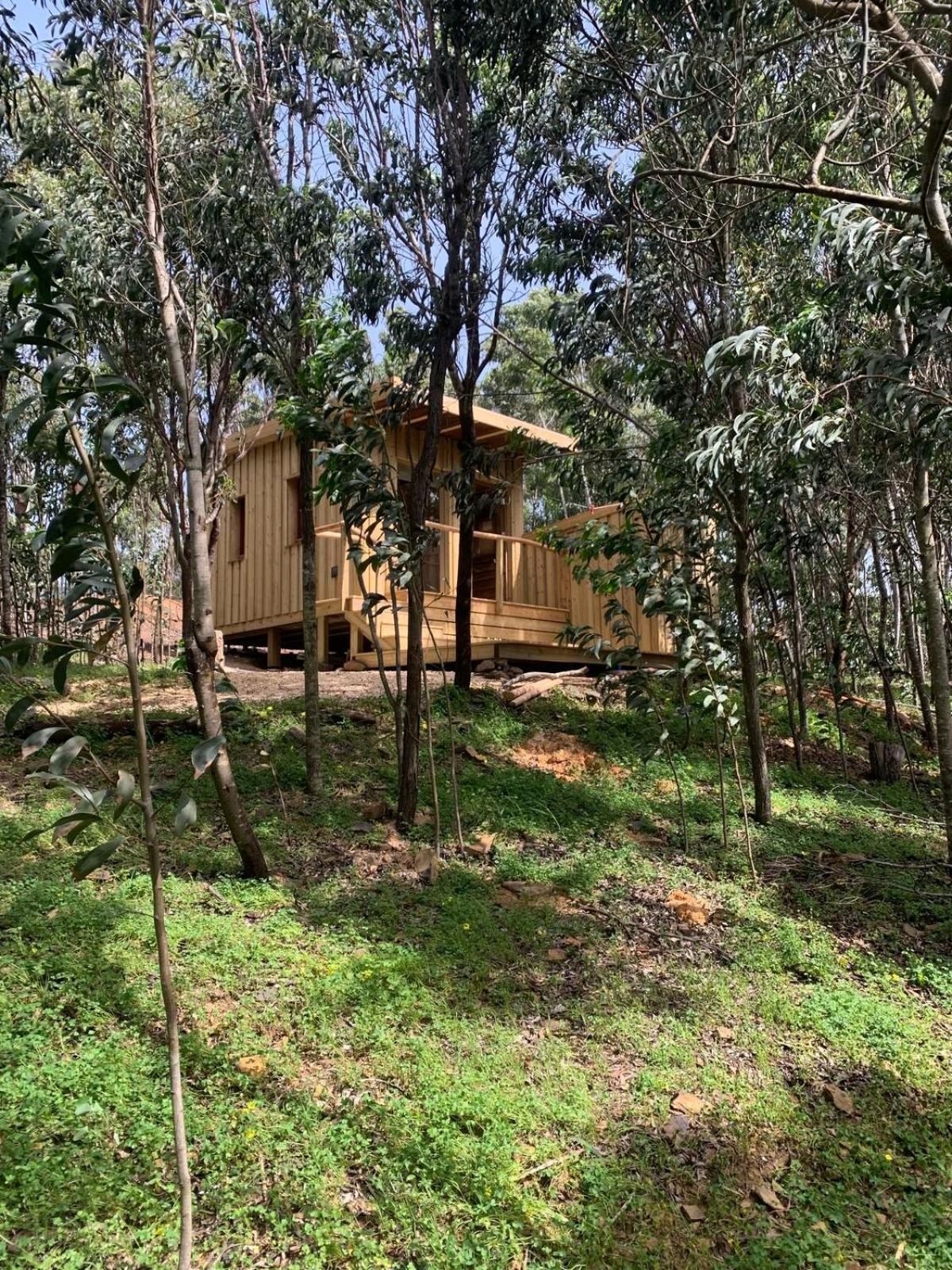 Soul Farm Algarve - Glamping & Farm Houses Aljezur Bagian luar foto